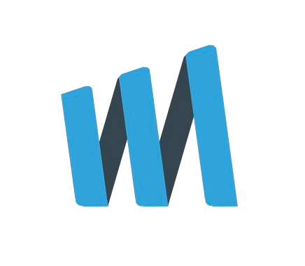 Wirelessmind Consultancy Logo
